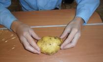 Как сделать ежика из картошки?